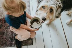 Nieuwe Producten -Huisdier Product Winkel image 2553