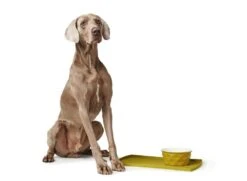 Hunter Onderlegger Eiby Geel -Huisdier Product Winkel image 2592