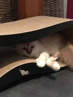 MyKotty Krabmeubel VIGO Zwart -Huisdier Product Winkel image 2673