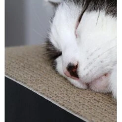 MyKotty Krabmeubel LUI Bruin -Huisdier Product Winkel image 2683