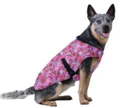 Aqua Coolkeeper Koel Jas Roses