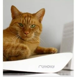 MyKotty Krabmeubel TOBI Wit -Huisdier Product Winkel image 2707