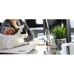 MyKotty Krabmeubel TOBI Wit -Huisdier Product Winkel image 2708