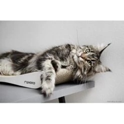 MyKotty Krabmeubel TOBI Wit -Huisdier Product Winkel image 2709