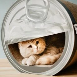 District70 Krabmeubel Can -Huisdier Product Winkel image 2713