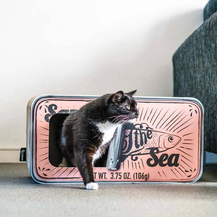 District70 Krabmeubel Sardine Peach 1 District70 Krabmeubel Sardine Peach