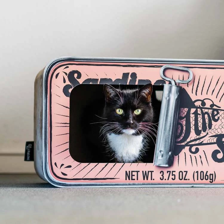 District70 Krabmeubel Sardine Peach 2 District70 Krabmeubel Sardine Peach - Afbeelding 2