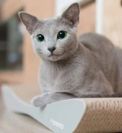 MyKotty Krabmeubel TOBI Grijs