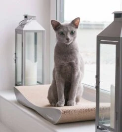 MyKotty Krabmeubel TOBI Grijs -Huisdier Product Winkel image 2746