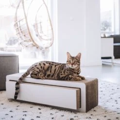 District70 Krabmeubel Stretch -Huisdier Product Winkel image 2753