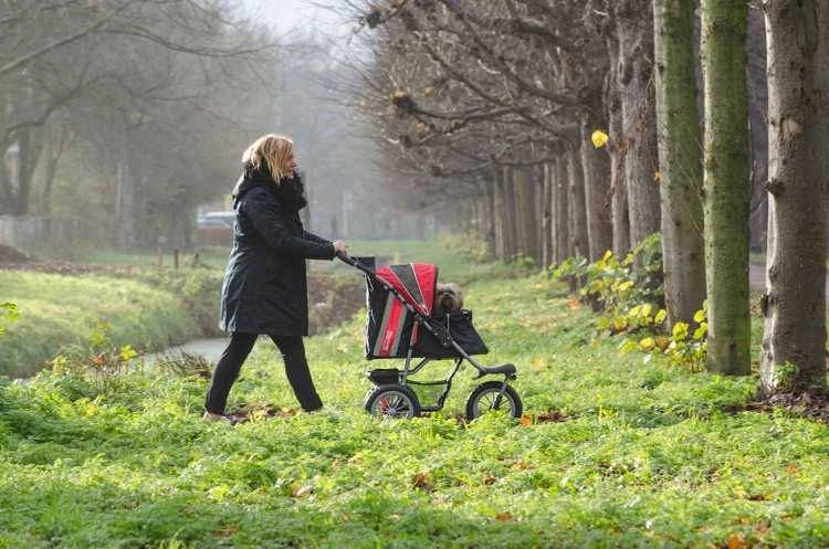 Innopet Hondenbuggy Comfort EFA Rood 2 Innopet Hondenbuggy Comfort EFA Rood - Afbeelding 2