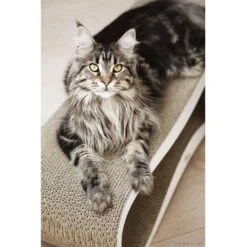 MyKotty Krabmeubel LUI Wit -Huisdier Product Winkel image 2777