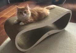 MyKotty Krabmeubel LUI Wit -Huisdier Product Winkel image 2780