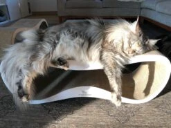 MyKotty Krabmeubel LUI Wit -Huisdier Product Winkel image 2781