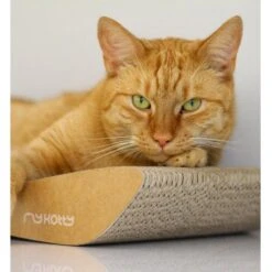 MyKotty Krabmeubel TOBI Bruin