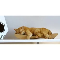 MyKotty Krabmeubel TOBI Bruin -Huisdier Product Winkel image 2785