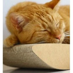 MyKotty Krabmeubel TOBI Bruin -Huisdier Product Winkel image 2786