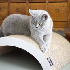 District70 Krabmeubel Arch -Huisdier Product Winkel image 2797