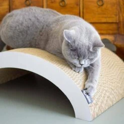 District70 Krabmeubel Arch -Huisdier Product Winkel image 2798