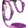Rogz Kattentuig KiddyCat Purple Dragonfly