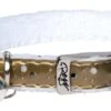 Rogz Kattenhalsband TrendyCat Goud