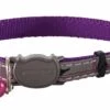 Rogz Kattenhalsband NightCat Purple Budgies