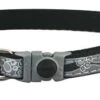 Rogz Kattenhalsband NightCat Black Paws