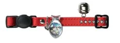 Hunter Kattenhalsband Modern Art Rood