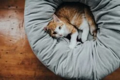 Hunter Kattenmand Miranda Grijs -Huisdier Product Winkel image 2870