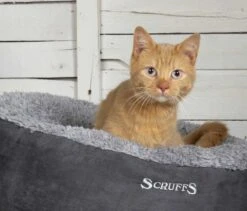 Scruffs Kattenmand Cosy -Huisdier Product Winkel image 2906