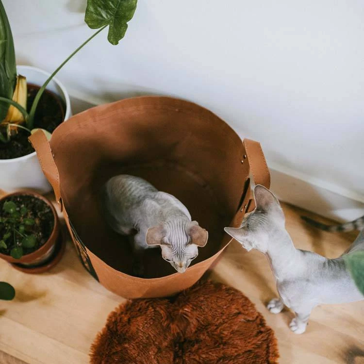 District70 Kattenmand Paper Cognac 1 District70 Kattenmand Paper Cognac