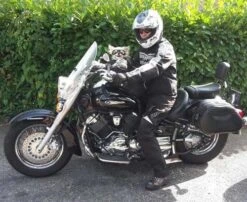 Dogoptics Hondenzonnebril Biker Black Frame Clear Lens 11 Dogoptics Hondenzonnebril Biker Black Frame Clear Lens -Huisdier Product Winkel image 292