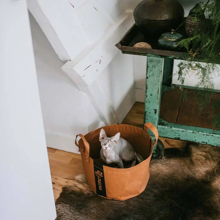 District70 Kattenmand Paper Cognac 3 District70 Kattenmand Paper Cognac - Afbeelding 3