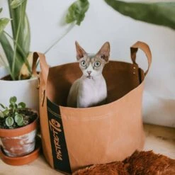 District70 Kattenmand Paper Cognac 9 District70 Kattenmand Paper Cognac -Huisdier Product Winkel image 2923