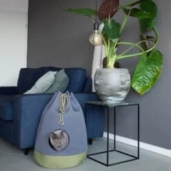 District70 Kattenmand Casa Moss Green -Huisdier Product Winkel image 2938