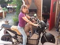 Dogoptics Hondenzonnebril Biker Black Frame Clear Lens 6 Dogoptics Hondenzonnebril Biker Black Frame Clear Lens - Afbeelding 6