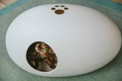 Sindesign Design Kattenbak Poopoopeedo Wit -Huisdier Product Winkel image 2953