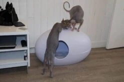 Sindesign Design Kattenbak Poopoopeedo Wit -Huisdier Product Winkel image 2955