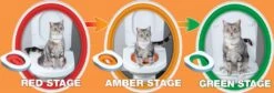 Litter Kwitter Toilet Training Systeem Voor Katten -Huisdier Product Winkel image 2961