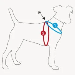 Curli Hondentuig Merino Rood -Huisdier Product Winkel image 336