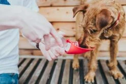 Hunter Drinkfles Hond List Rood -Huisdier Product Winkel image 348