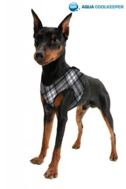 Aqua Coolkeeper Koel Harnas Comfy Scottish Grey