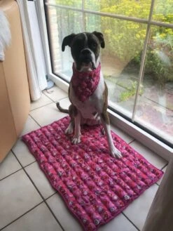 Aqua Coolkeeper Koelmat Roses -Huisdier Product Winkel image 418