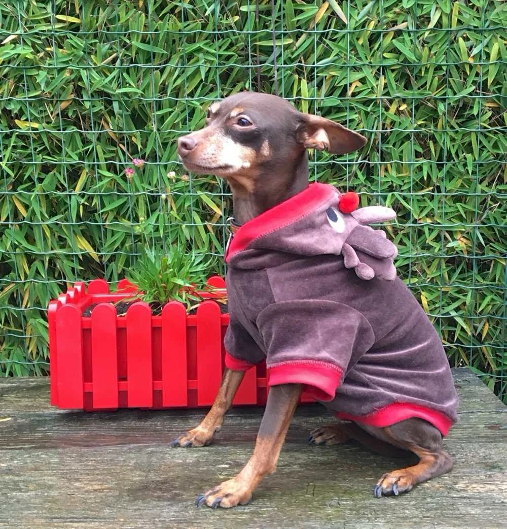 Ancol Hondenjas Rendier 2 Ancol Hondenjas Rendier - Afbeelding 2