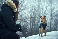 Hunter Hondenjas Uppsala Softshell 8 Hunter Hondenjas Uppsala Softshell -Huisdier Product Winkel image 447