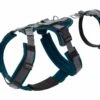 Hunter Veiligheidsharnas Maldon Teal