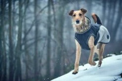 Hunter Hondenjas Uppsala Cozy Grijs