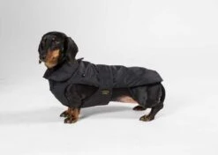 Fashion Dog Hondenjas Teckel Zwart