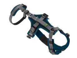 Hunter Veiligheidsharnas Maldon Teal -Huisdier Product Winkel image 49