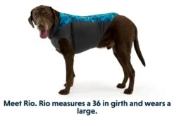 Ruffwear Hondentrui Climate Changer™ Glacier -Huisdier Product Winkel image 493